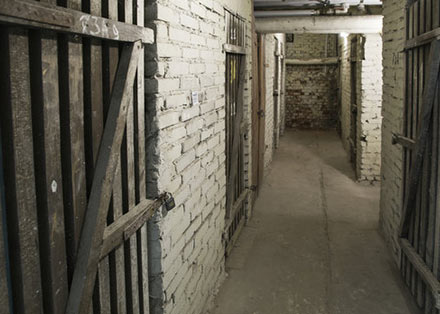 Opr&oacute;żnianie Piwnic Ł&oacute;dź