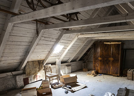 Opr&oacute;żnianie Strych&oacute;w Ł&oacute;dź